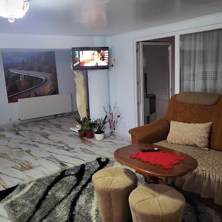 사투마레 Apartament Cu Terasa Si Gratar 아파트 외부 사진