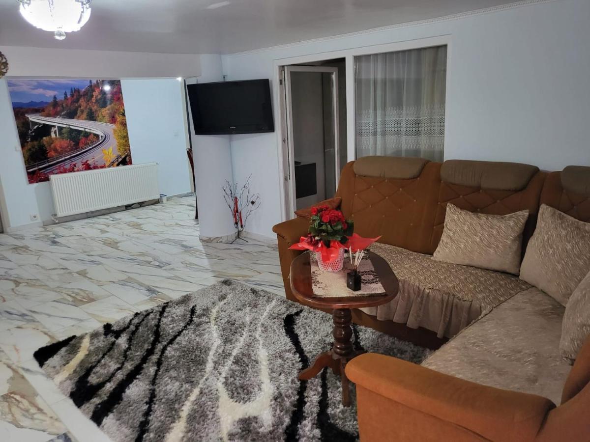 사투마레 Apartament Cu Terasa Si Gratar 아파트 외부 사진