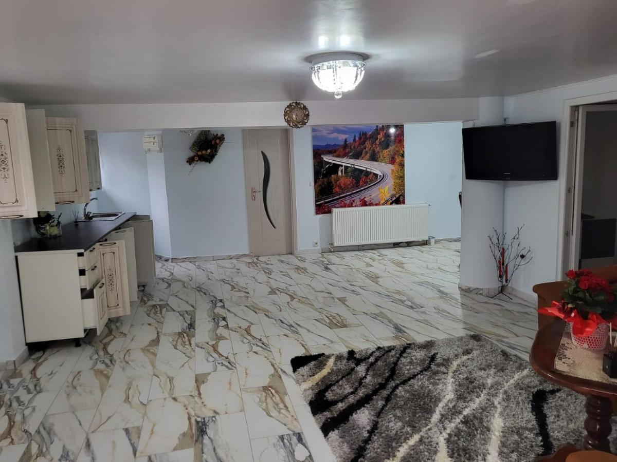 사투마레 Apartament Cu Terasa Si Gratar 아파트 외부 사진