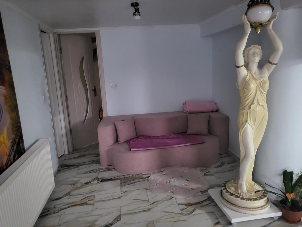 사투마레 Apartament Cu Terasa Si Gratar 아파트 외부 사진